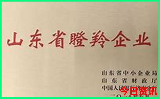 越南有哪些旅游景点